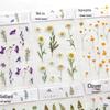 Clear Sticker Set: Handmade DIY Cute Plant & Literary Designs for Diary Decoration