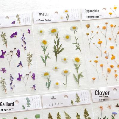 Clear Sticker Set: Handmade DIY Cute Plant & Literary Designs for Diary Decoration