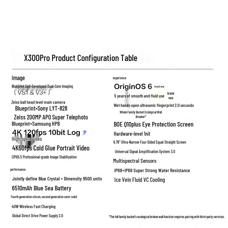 vivo X300 Pro 5G AI Smartphone (CN version)