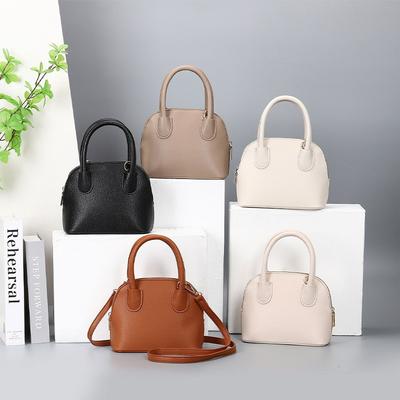 2026 Trendy Shell Bag Korean Niche Design Fashionable Handbag High-end Portable Cross-body Women's