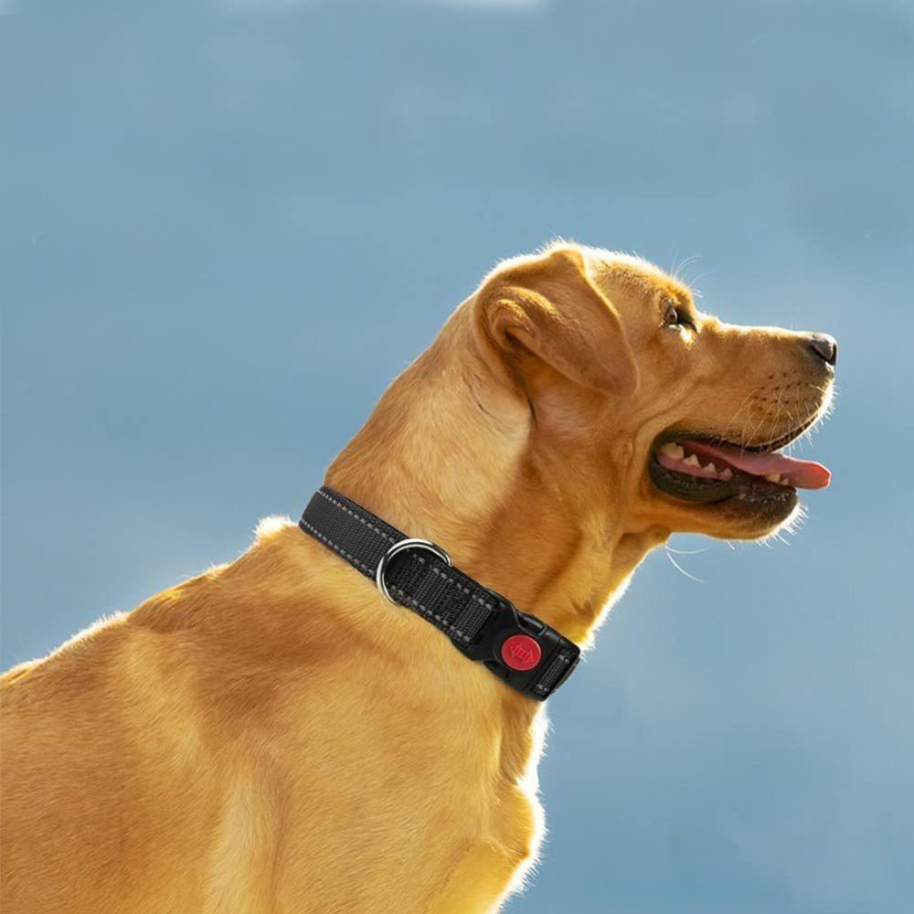 Safety Buckle Reflective Dog Collar Adjustable No Pull Training Collars Small and Medium Dog