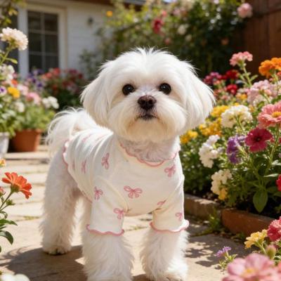 1 Stück Hunde-/Katzenkleidung, Allover-Print mit rosa Fliege, Atmungsaktiver & Bequemer Strickpullover, Geeignet für Pudel, Chihuahua, Teddy, Frühling/Herbst