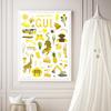 Color Classification Poster for Early Childhood Education Canvas Print Painting Picture Modern Kids Room Bedroom Home Decoration