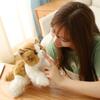 30cm High Quality Simulation Lying Cat Plush Toy Stuffed Animal Realistic Kitten Toy for Luxury Home Decoration Pet Gift