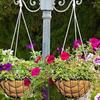 Inch 100% Natural Coco Coconut Liners For Planters Basket Replacement Liner Hanging Basket Liner