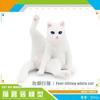 Children's Realistic Model  Figurine