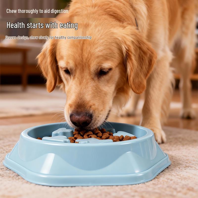 Pet Slow Feeder Anti-Choke Dog Bowl