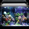 New 30/40cm Aquarium LED Light Full Spectrum Colorful for Fish Tank Coral Aquaculture Plant