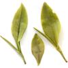 50g zielonej herbaty Premium Spring Huangshan High Mountain Mao Feng