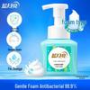 Blue Moon Foaming Antibacterial Hand Wash