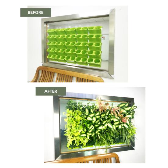 Vertikaler Garten Pflanzgefäß Hängendes Pflanzgefäß Kasten Gemüse Anzuchtkasten für Zimmerpflanzen Büro Wohnkultur