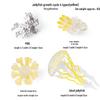 Pediatric Learning Model: Plastic Animal Growth Cycles - Frog, Butterfly, Rooster, Sea Turtle, Chinese Horseshoe Crab