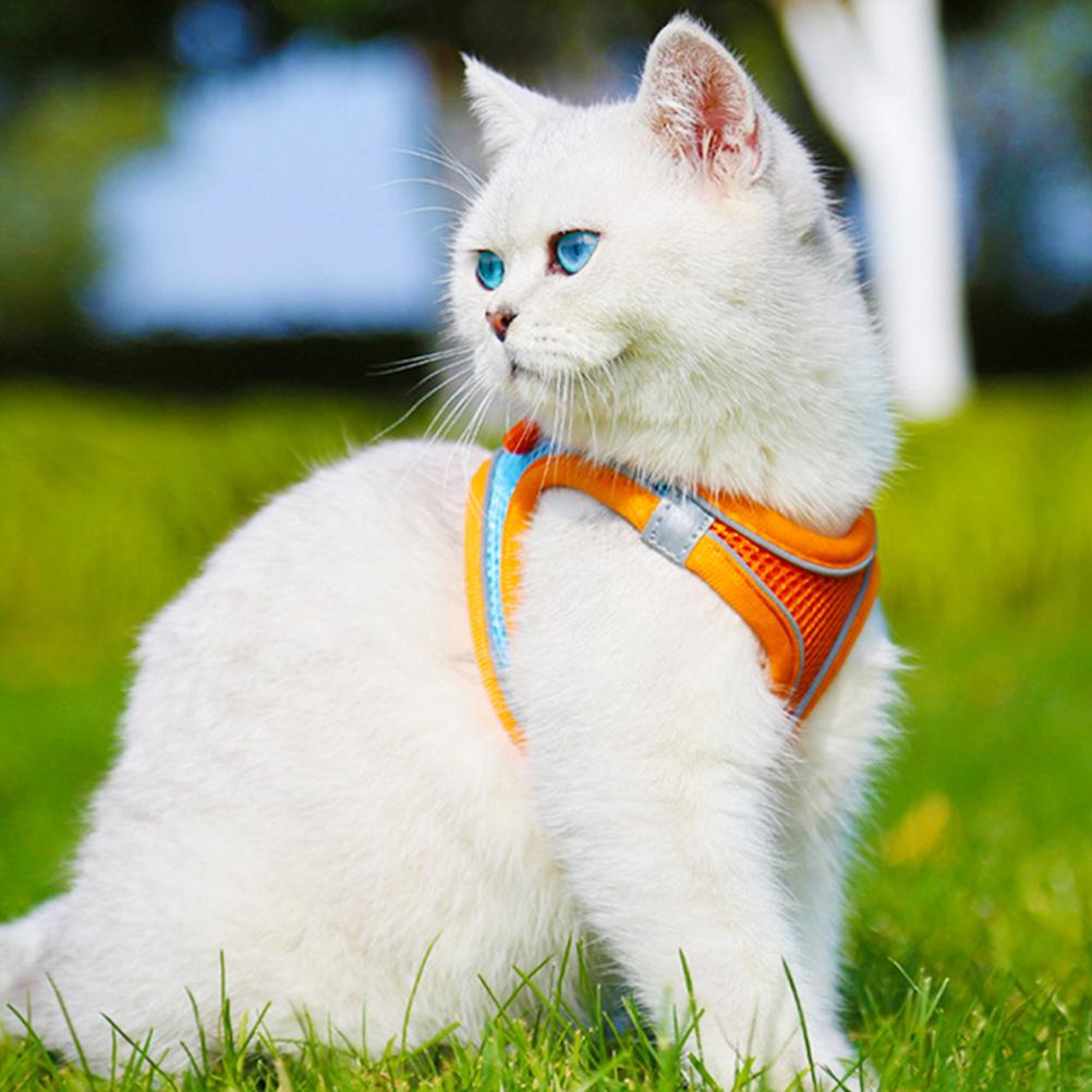 

Premium Dog Harness Leash Set for Puppy Small Pets Reflective Vest for Walking Running Travel Pet Vest Leash Outfit S