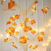 OEING Autumn Leaves & Pumpkin USB String Lights