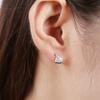 Fan-shaped Micro-studded Diamond Earrings Earrings Korean Zirconium Girlfriend Gift