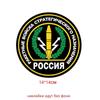Tri Mishki 14x14cm Strategic Missile Forces Car Sticker Funny Colorful Car Stickers Auto Automobile Decals WCS003