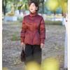 Jianhu New Chinese Style Women's Down Jacket