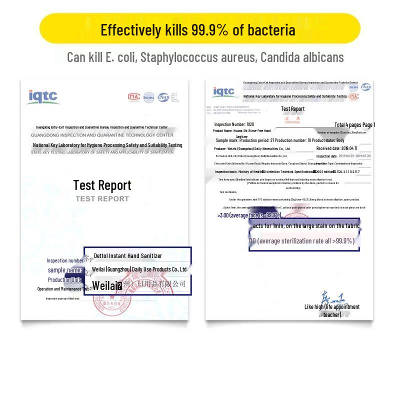 Walch Germ-Killing No-Wash Hand Sanitizer
