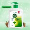 Dettol Family Healthy Antibacterial Hand Wash Duo