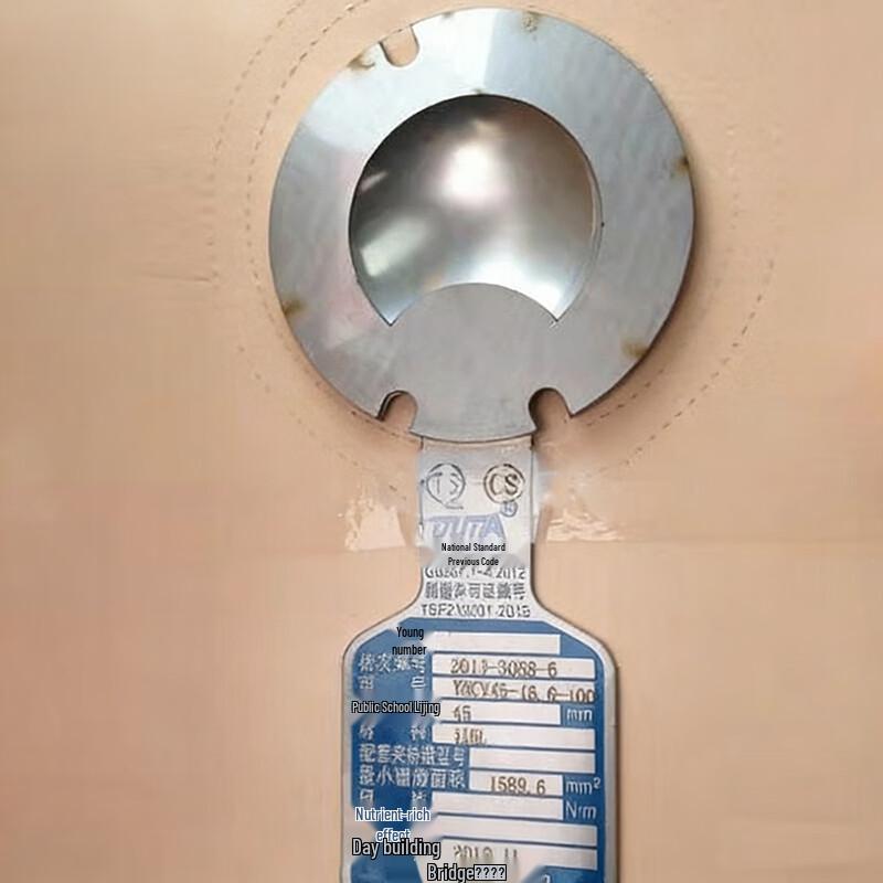 DUDU Circular Rupture Disc