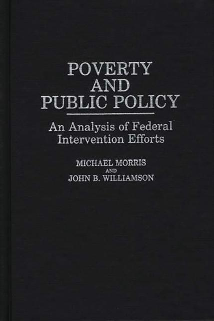 The Poverty and Public Policy : An Analysis of Federal Intervention Efforts Book