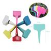 100PCS Multi-color Plant Markers Tags PVC Plant T-type Tags Flower Name Tag  Bonsai Accessories