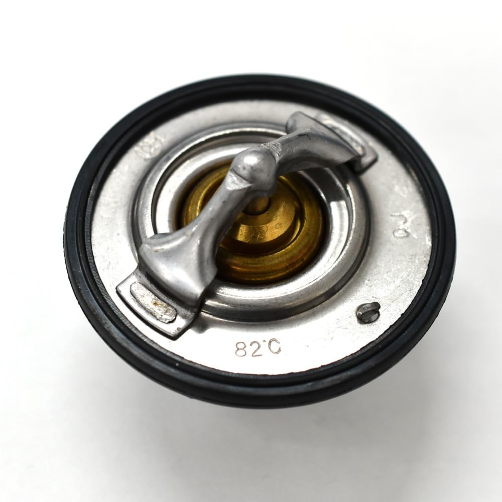 Thermostat with Gasket TS-226P