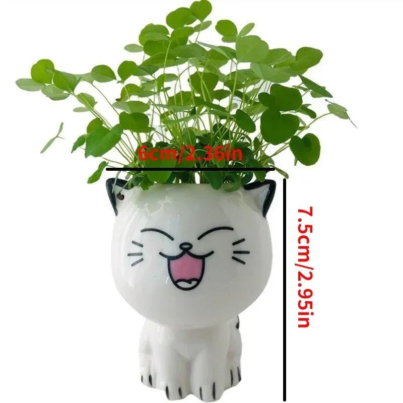 Keramik Blumentopf Mini Katze Cartoon Niedliche Topfpflanze Schreibtisch Katze Pflanztopf DIY Schreibtisch Dekorieren Wissenschaftliche Bildung Schulgeschenke