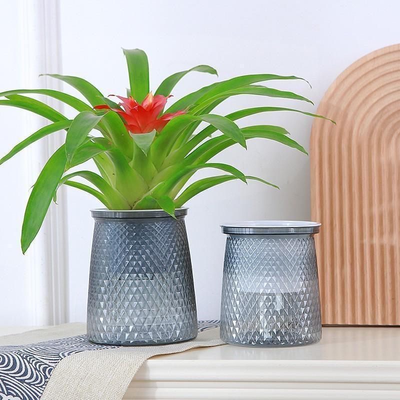 2024 Vaso da fiori trasparente autoirrigante in plastica, vaso per piante a doppio strato automatico pigro, vaso idroponico per fiori per la decorazione della casa