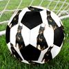 Cute Puppy Indoor Size 5 Soccer Ball Colorful Machine Stitched PVC Competition Ready Durable High-Bounce