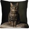 1PC Realistic Tabby Cat Pillowcase Single-Sided Printed Cat Sitting On Pillow for Home And Office Decor