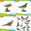 Bird Animal Model With Plastic Material For Home Decor And Collecting