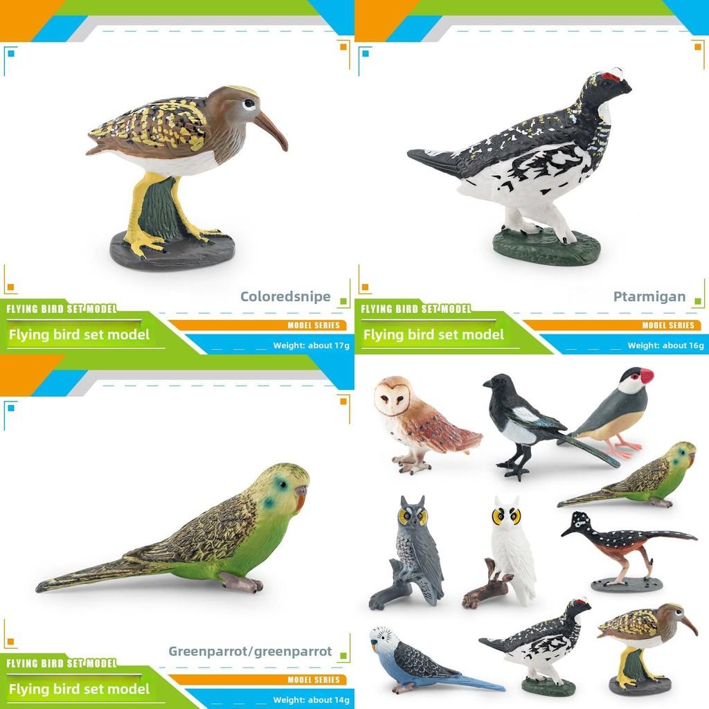 Bird Animal Model With Plastic Material For Home Decor And Collecting