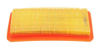 Cifarelli Bl1200 Air Filter Original Part 0613700