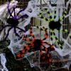 Realistic Halloween Plush Spider Creative Halloween Decoration Gift Giant Fake Spider  Plush Toy
