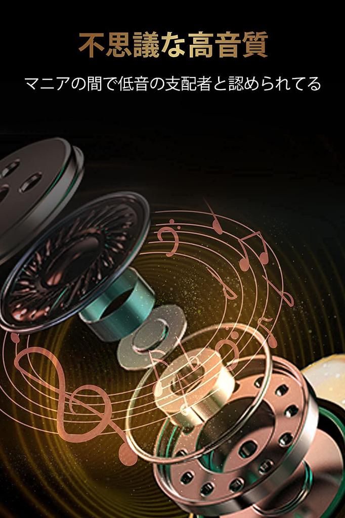 Yinyoo CCZ Coffee Bean Monitor 10mm Dual Magnetic Monitors with Detachable Deep Coffee Bean Compatible with In-Ear Earphones, 1DD, Chinese-made,