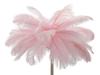 Floor Lamp Palm Pink Cm Ø 55X160
