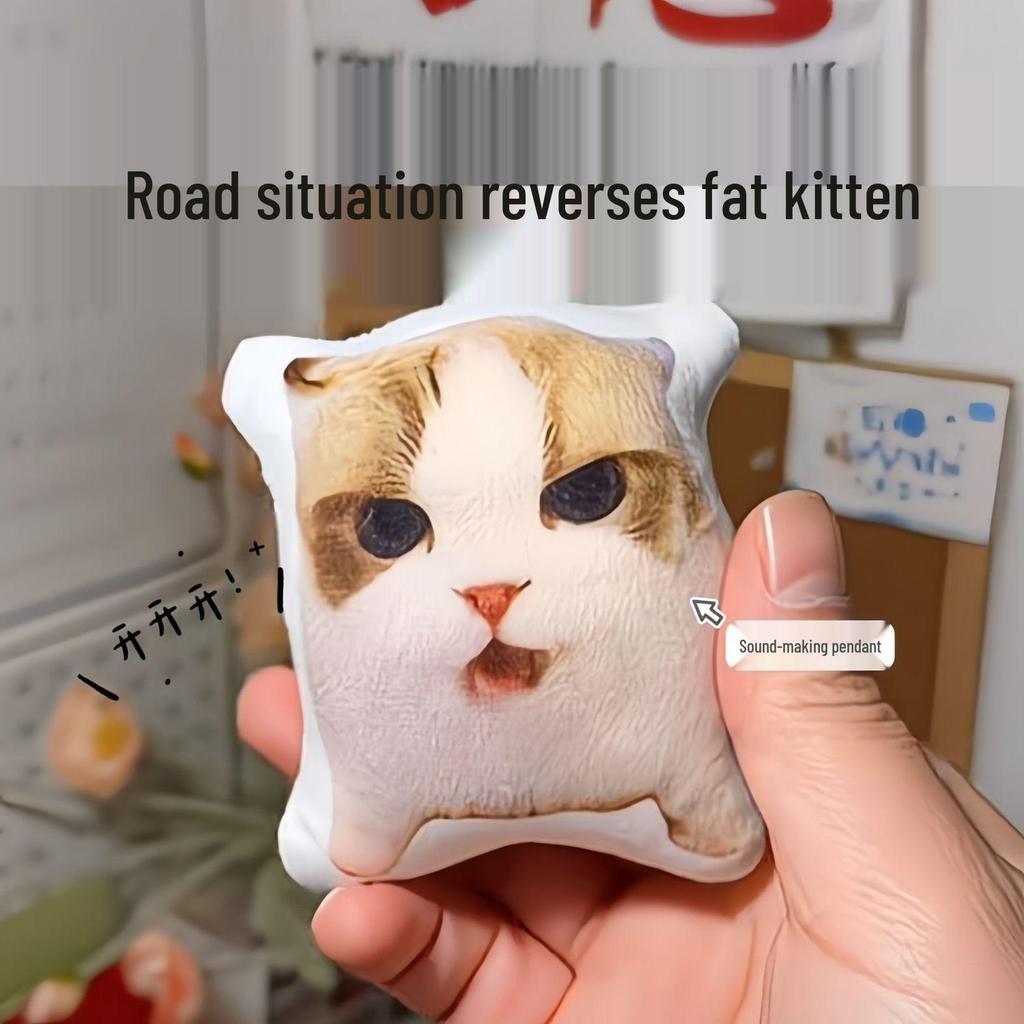 Oiiai Funny Irregular Plush Kitten Pillow Toy