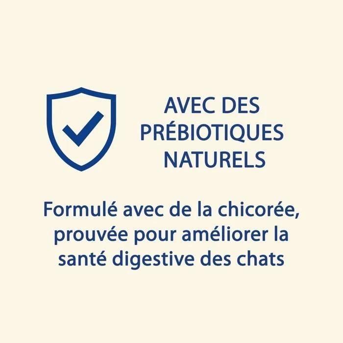 CAT CHOW Adult Avec NaturiumTM - Riche En Saumon - 10 KG - Croquettes Pour Chat Adulte