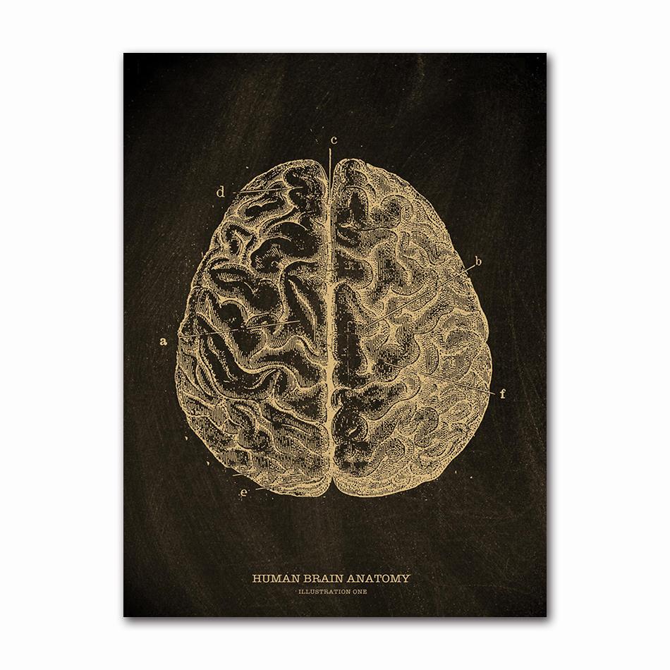 Anatomical Skeleton Chalkboard Poster Kraft Paper Posters DIY Vintage Home Room Medicine Student Decor Medical Art Wall Painting