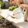 Metal Watering Can: 1L Tinplate Vintage Style 2-in-1 Sprinkling  Flower Arranging Plant Watering Can - Durable Gardening Tool for Indoor Outdoor