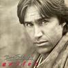 LP Record DAN FOGELBERG  Exiles EPC4504911 Epic 1987 Europe Rock Used