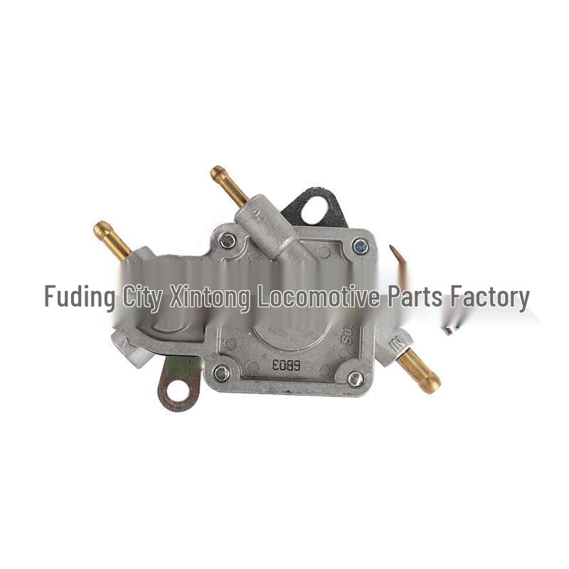 Pompe à carburant pour scooter ATV Cross-Country 400: Forest Sea 300/Compatible avec Véhicule de Plage ATV260