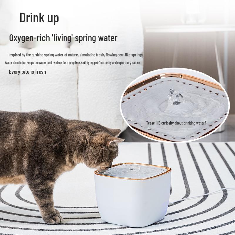 Smart Automatic Cat Water Fountain with Large Capacity and Circulating Filtration