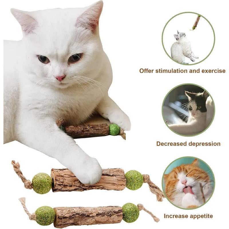 3 Stück Katzen-Zahnreinigung Reines Natürliches Katzenminze Katzen-Mahlzahn-Zahnpasta-Stick Silberrebe Actinidia-Frucht Matatabi Katzen-Snack-Stick