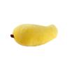 Pumpkin Carrot Fruits Plush Toy Broccoli Watermelon Simulation Fruits Vegetable  Kids Toy