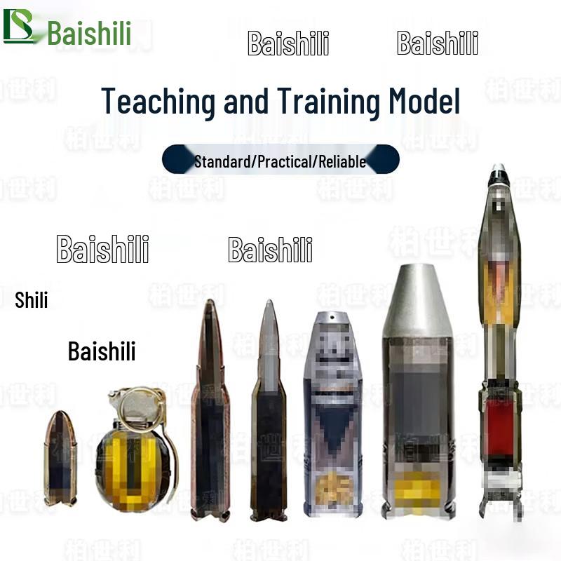 Boshili Quarter Anatomy Teaching Model