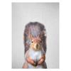 Realistic Furry Animals Cute Prints Poster Canvas Painting Hd Modern Wall Art Pictures For Living Room Bedroom Home Decoration