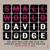 Small World by David Lodge Paperback Book 9780099554165