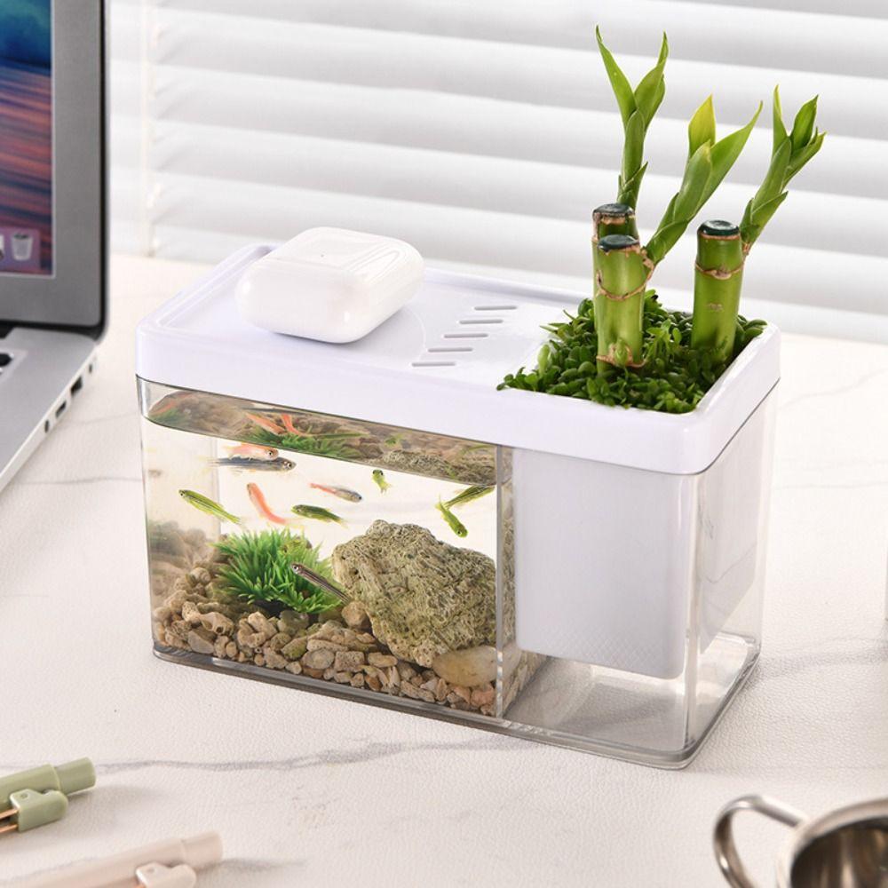 Amphibisches Ökologisches Becken aus Kunststoff Transparentes Aquarium Heimdekoration Aquarium Zuhause